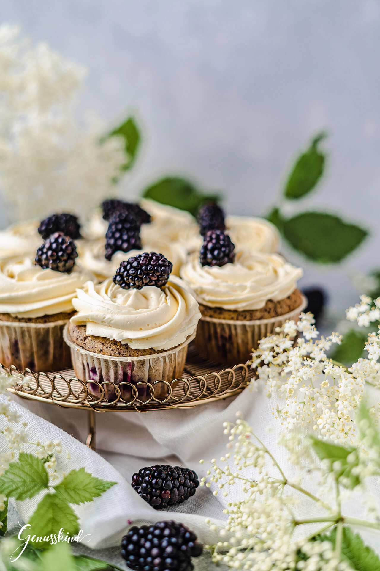 Mohn-Holunder Cupcakes mit Brombeeren - Genusskind