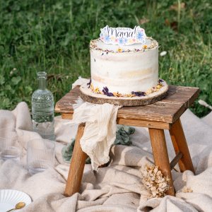 Topfen-Joghurt-Holunder Torte