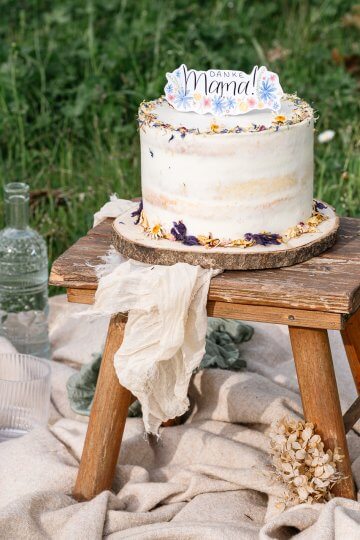 Topfen-Joghurt-Holunder Torte