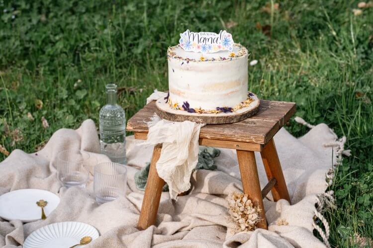 Topfen-Joghurt-Holunder Torte